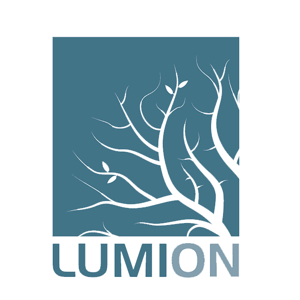 Lumion
